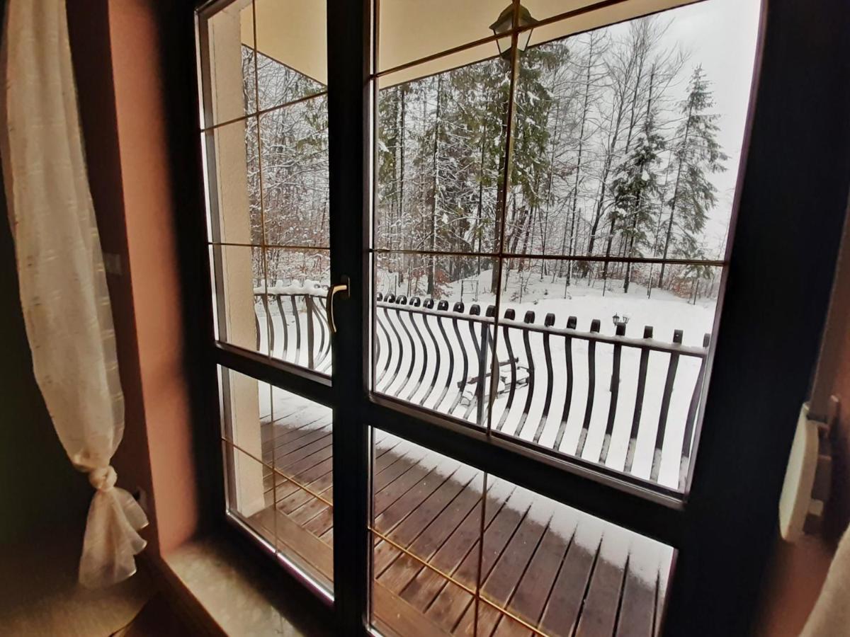 6 Osobowy, Apartment Wisla